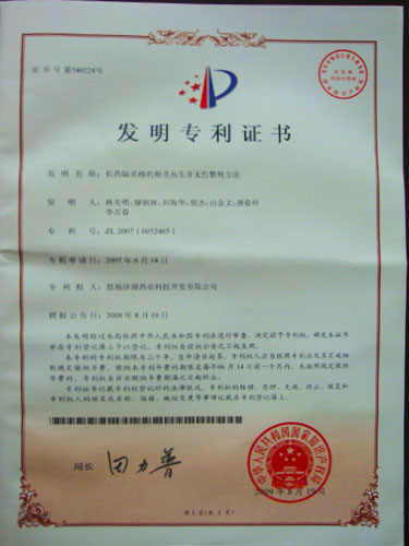 2009年获得发明专利.jpg