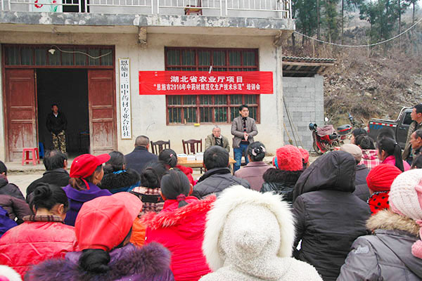 省农科院中药材研究所开展送科技下乡活动2.jpg