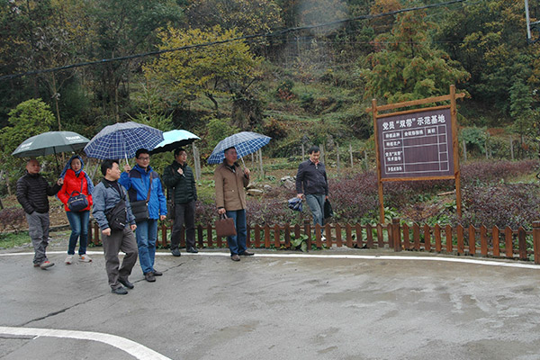 中药材所组织党员学习“王光国事迹”4.jpg