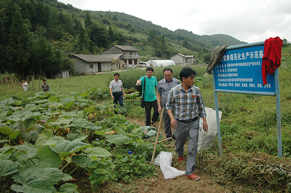 “恩施市2016年中药材规范化生产技术示范”项目通过中期绩效评价核查3.jpg