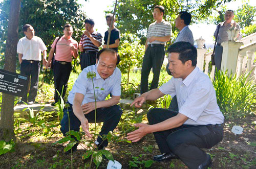 吴麟章检查国家科技惠民计划项目执行情况.jpg