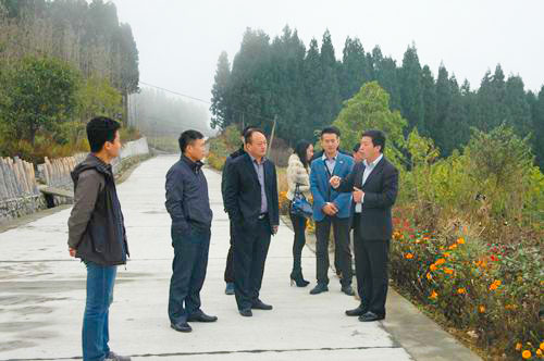 英山县领导一行考察华中药用植物园.jpg