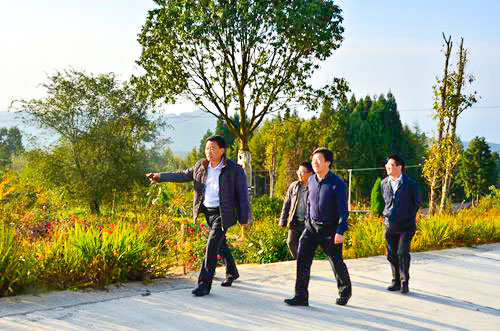 程水源副州长调研华中药用植物园3.jpg