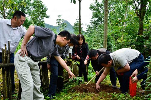 “武陵山区林药优化模式示范”项目通过现场查定3.jpg