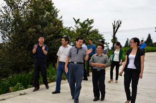 郑春白副厅长调研华中药用植物园2.jpg