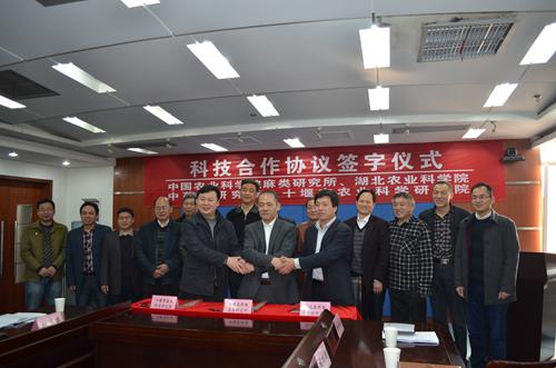 中国农业科学院麻类研究所、十堰市农业科学研究院与我所签订三方科技合作协议2.jpg