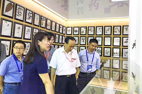 图片5.jpg