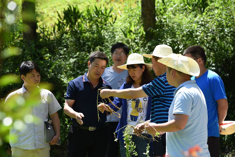 DSC_5712_副本.jpg