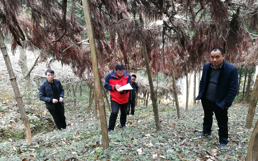 20191111利川2.jpg