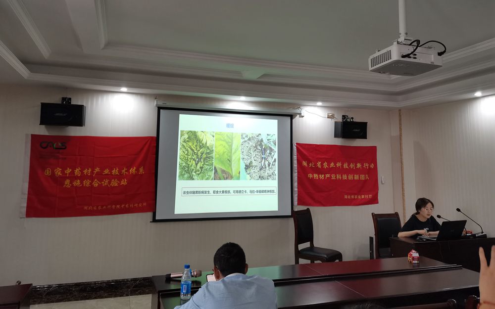 20200909-1.jpg