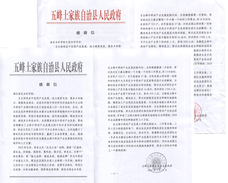 光影魔术手拼图_副本.jpg