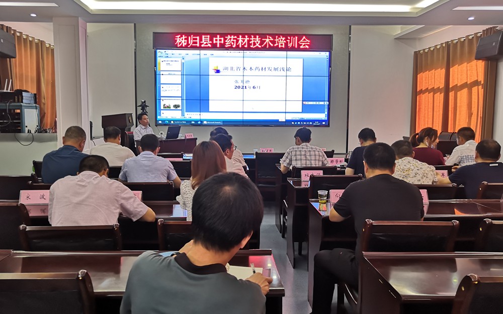 20210607-1.jpg