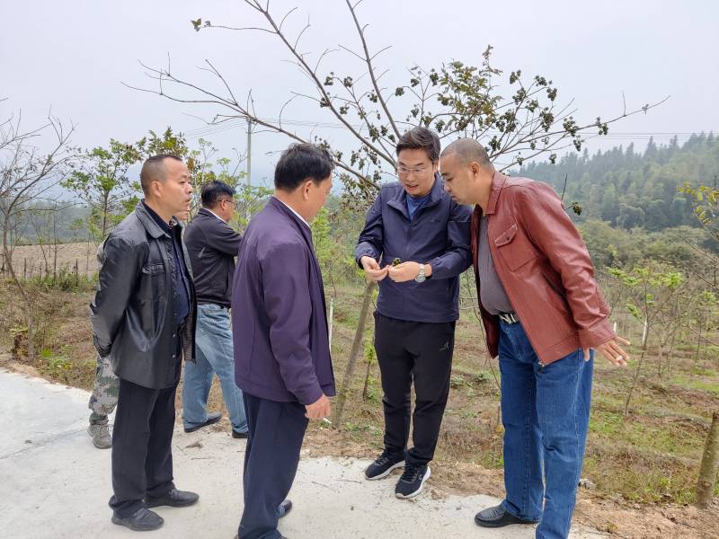 WPS图片-修改尺寸.jpg