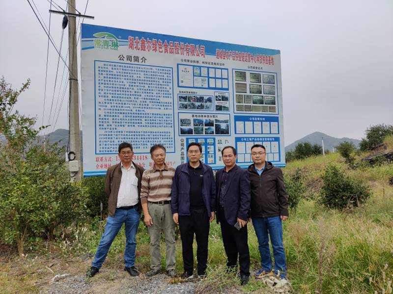 WPS图片-修改尺寸.jpg