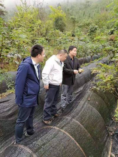 WPS图片-修改尺寸(2).jpg