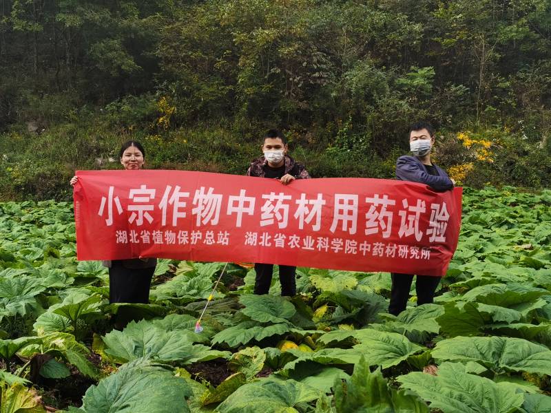 WPS图片-修改尺寸.jpg