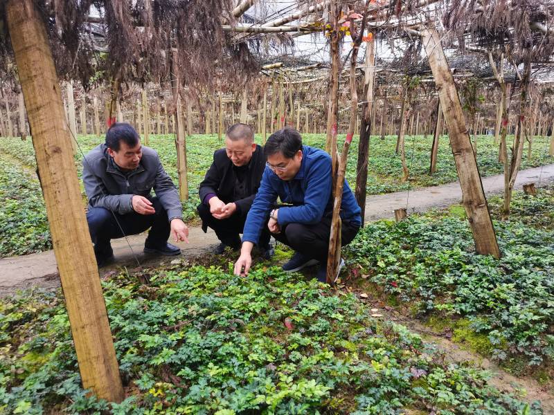 WPS图片-修改尺寸.jpg