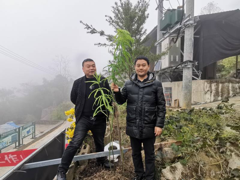 WPS图片-修改尺寸.jpg