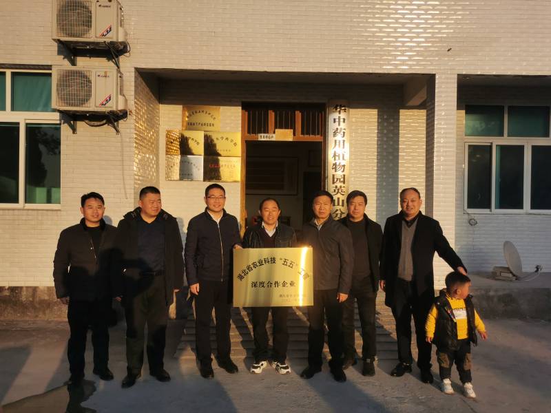 中药材主要负责人赴湖北宗坤石斛科技开发有限公司调研-1(1).jpg