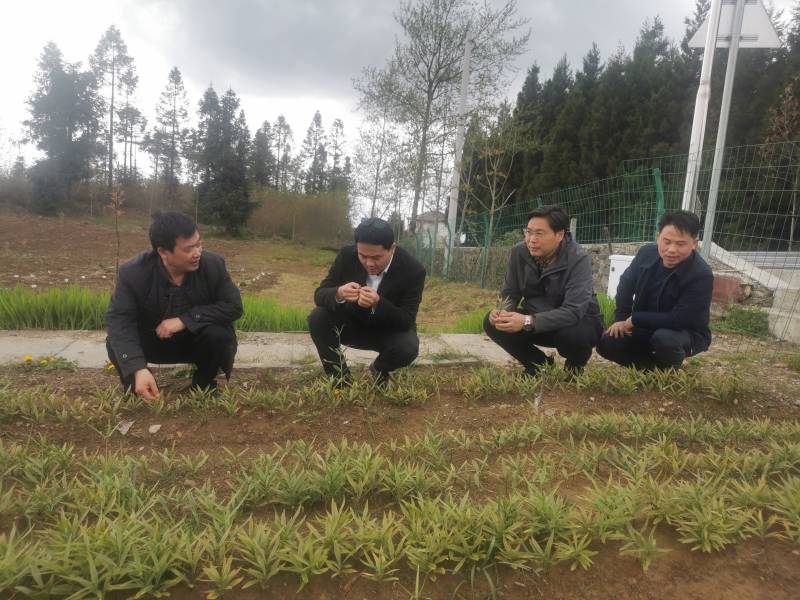 微信图片_20220419182455(1).jpg