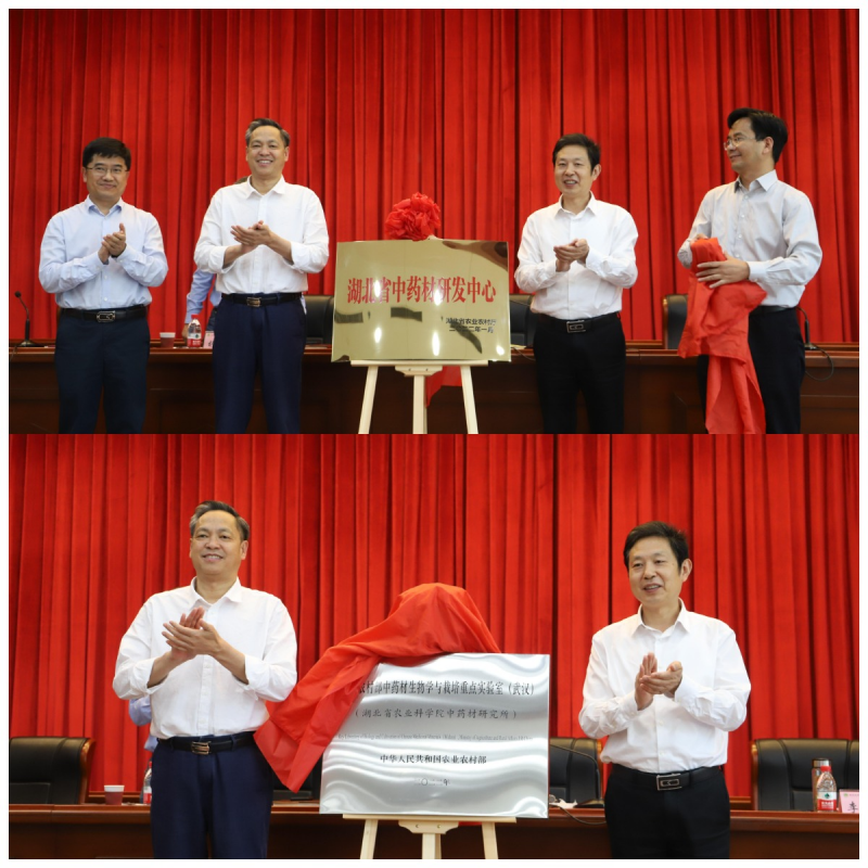 WPS图片拼图(1).png