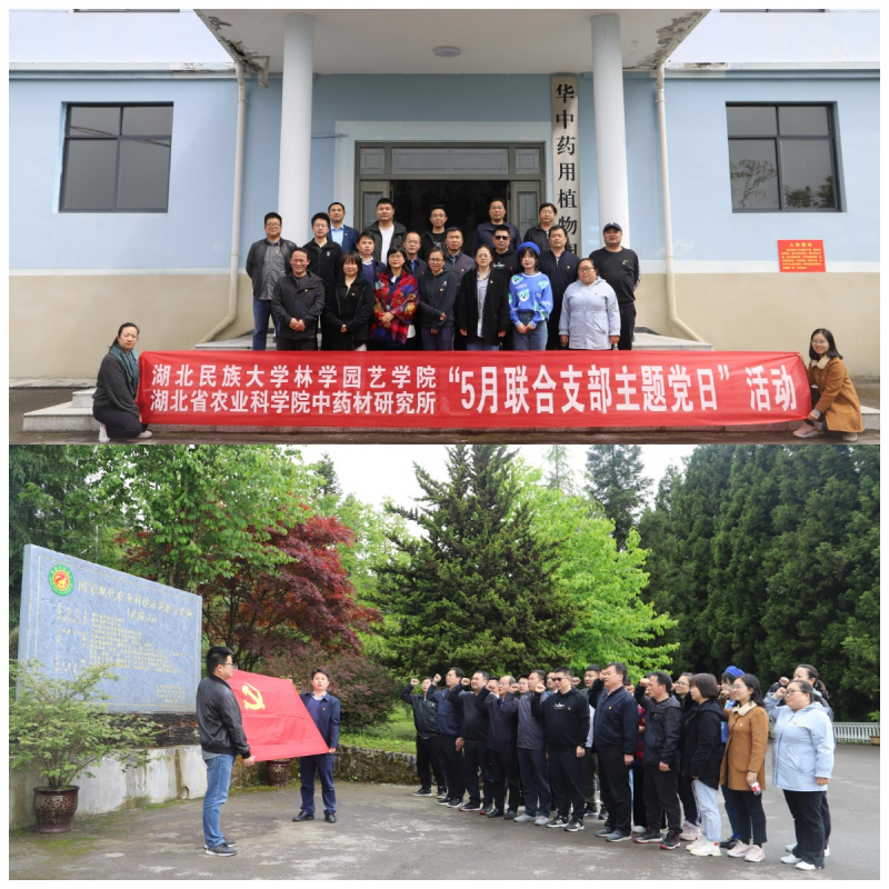 WPS图片拼图(1).png