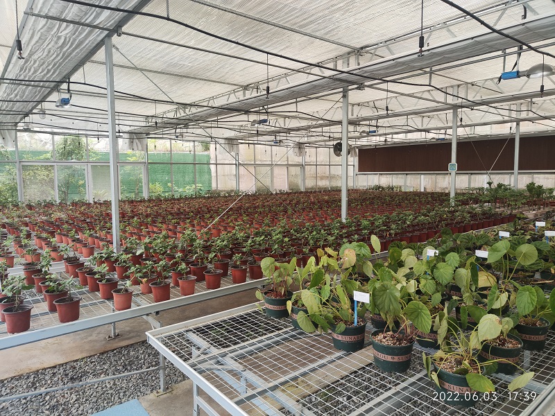 药用植物繁育中心建成使用-2.jpg