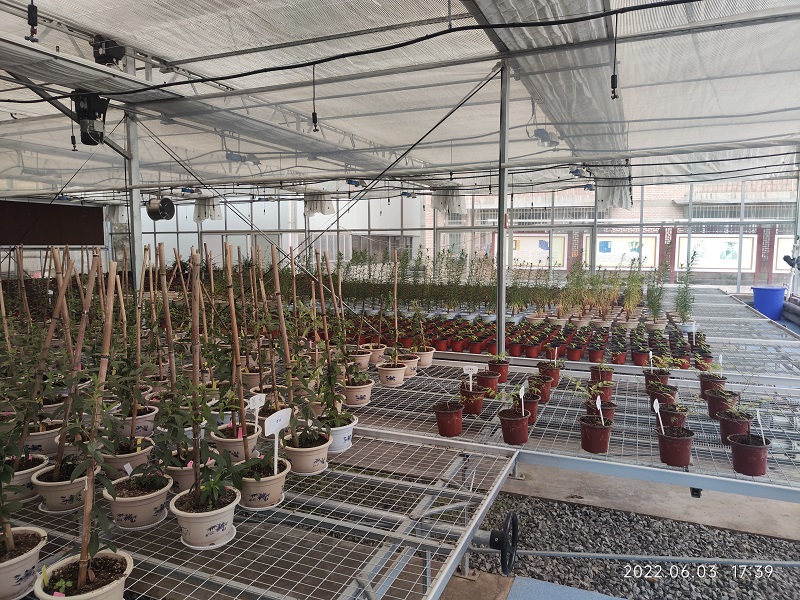 药用植物繁育中心建成使用-3.jpg