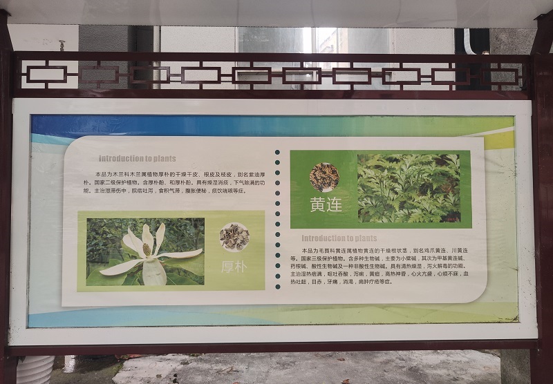 中医药文化科普长廊-3.jpg