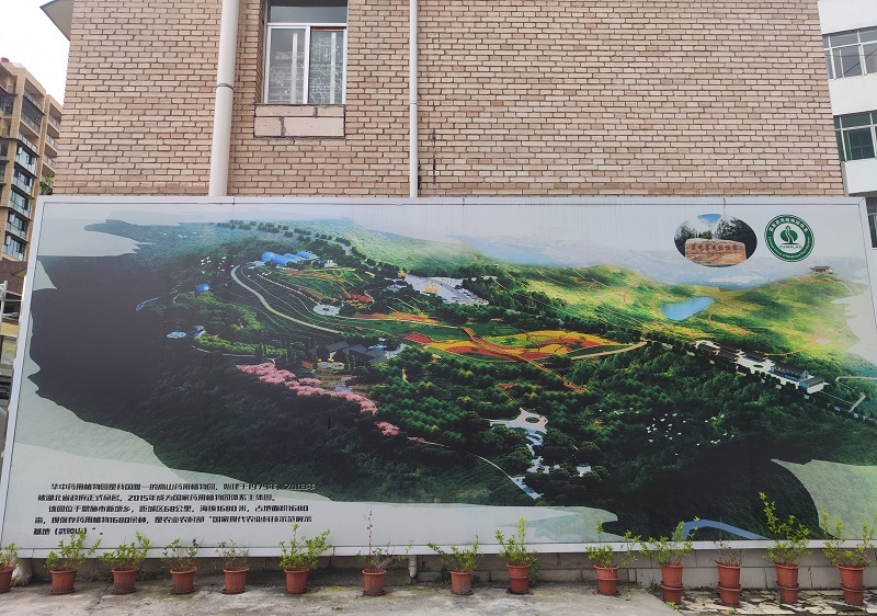中医药文化科普长廊-4.jpg