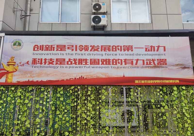 中医药文化科普长廊-5.jpg