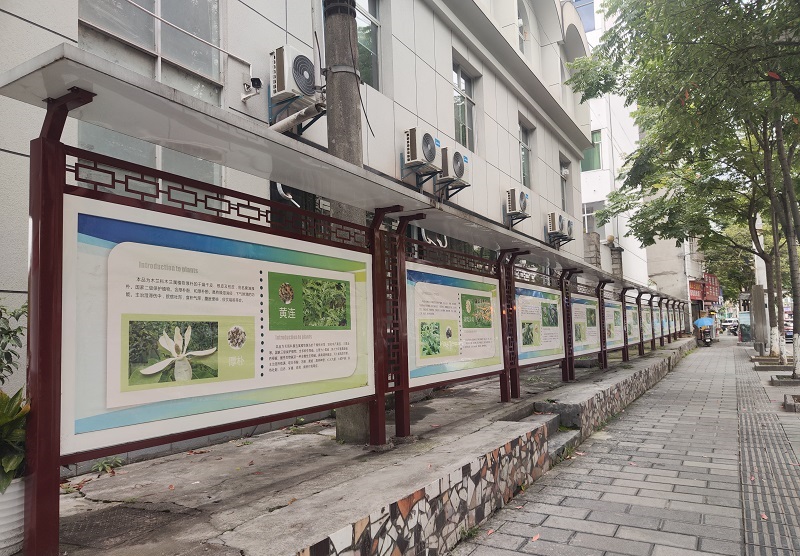 中医药文化科普长廊-6.jpg