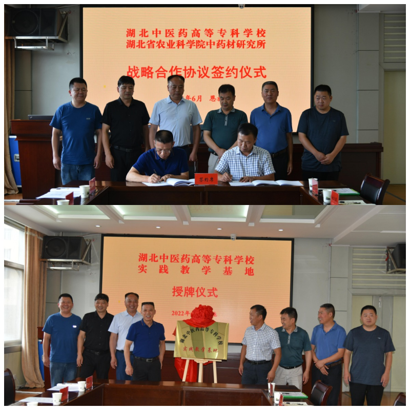 WPS图片拼图(1).png