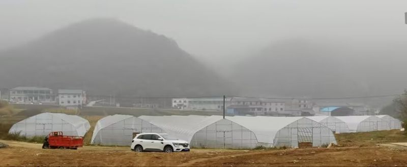 885338030E25C5E0720673FB99E00494_副本.jpg