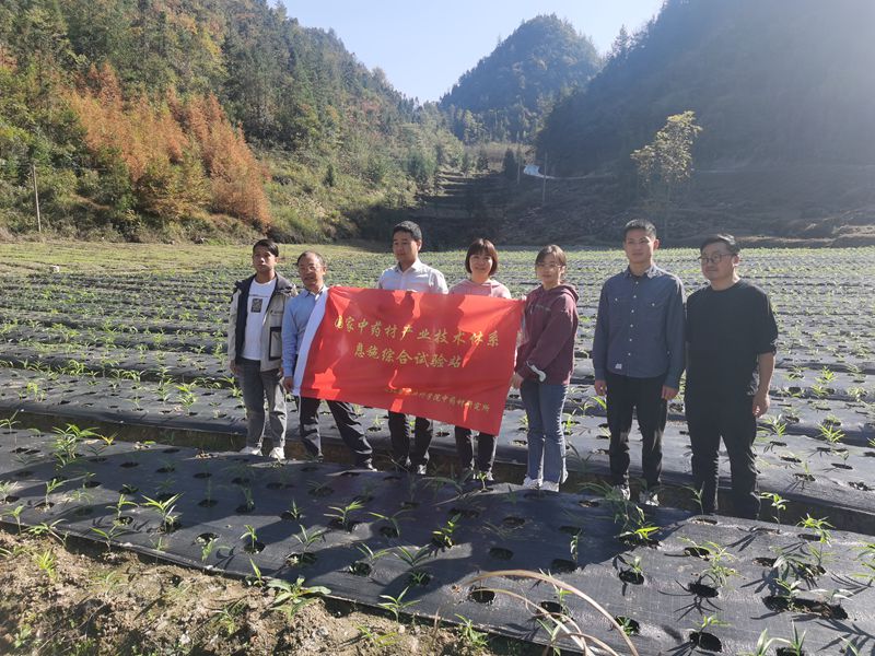 11.2 利川_副本.jpg