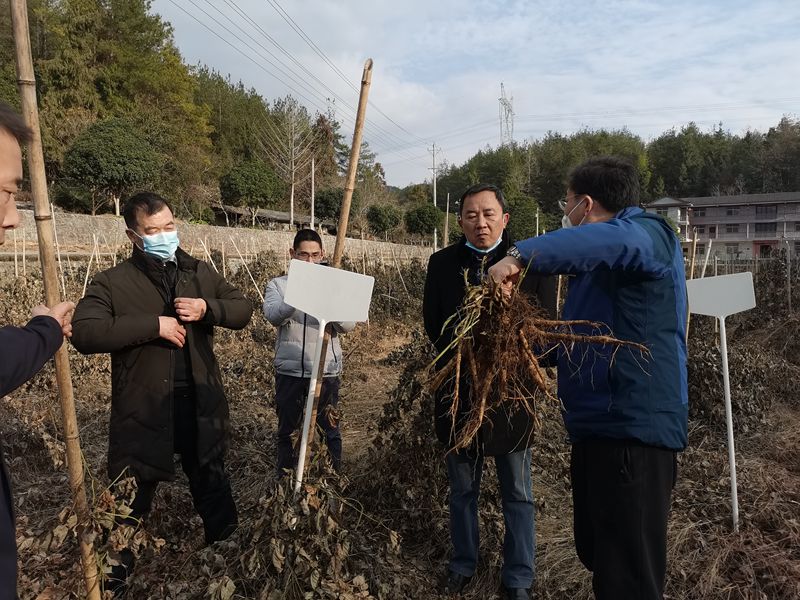 4b3ecf207f024e0626dc741e1c09461_副本.jpg