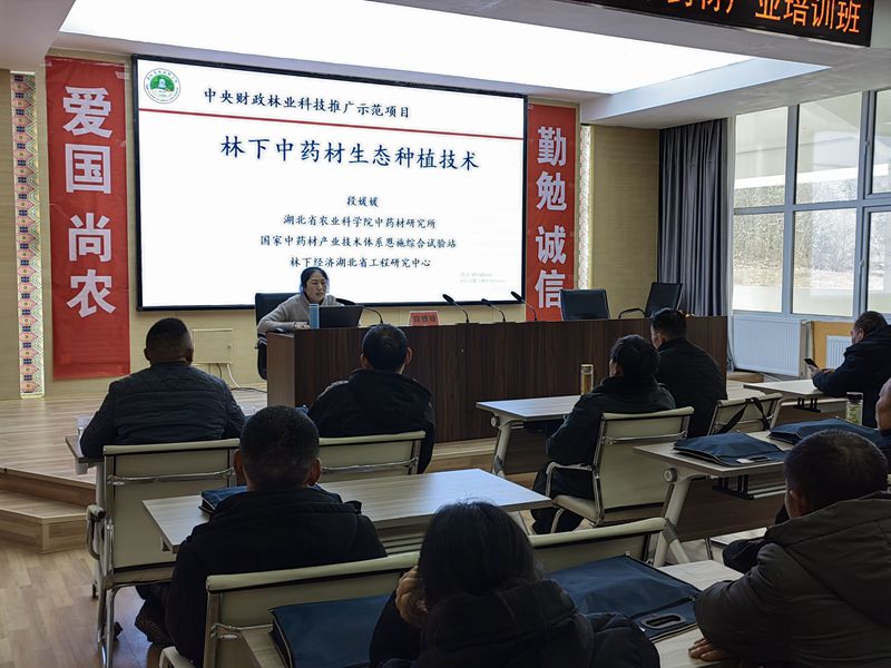 C09A61ADAF454D156205C6F0F9B772F3_副本.jpg