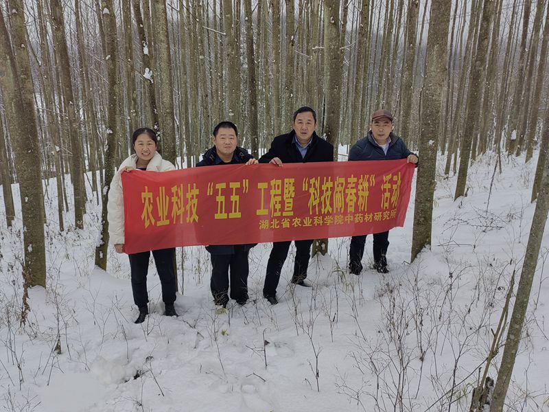 1e7f2feab8bf6e6afb15ad399c8f815_副本.jpg