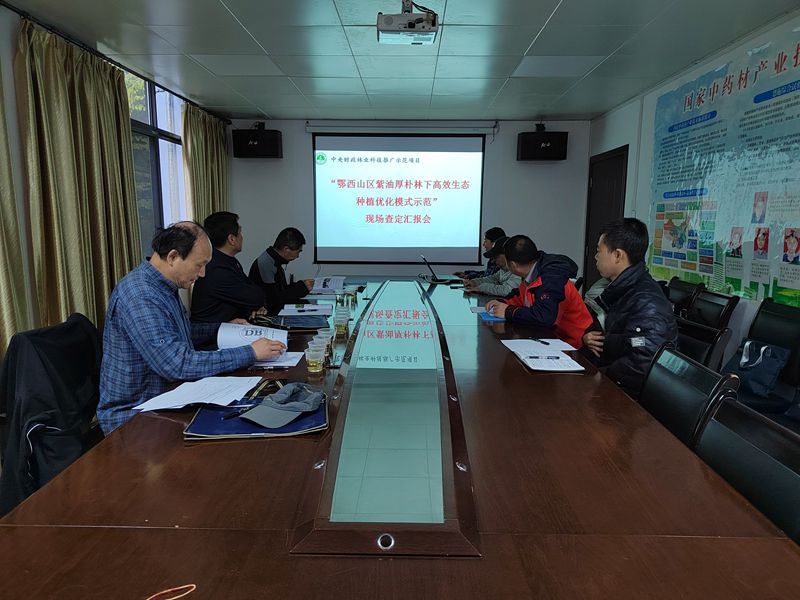 93653a351c0f3d3ad54e95913ac9498_副本.jpg