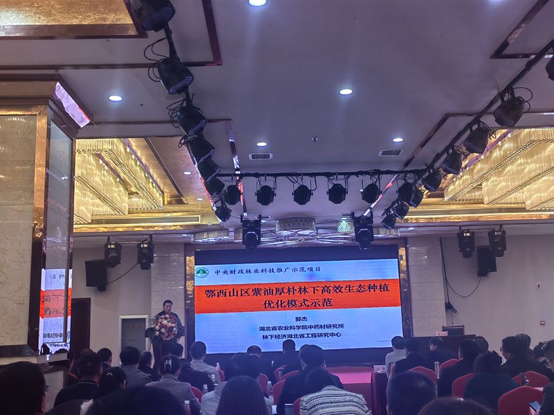 f669bfa6ebfe6787cd5c1af1ce5473b_副本.jpg