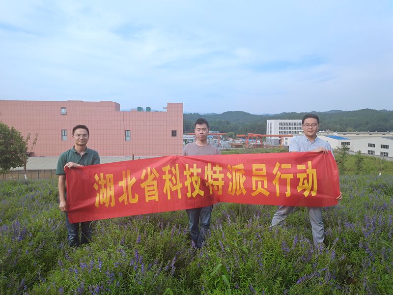 628a8e7b4efd55ea213fb374ce97e10_副本.jpg