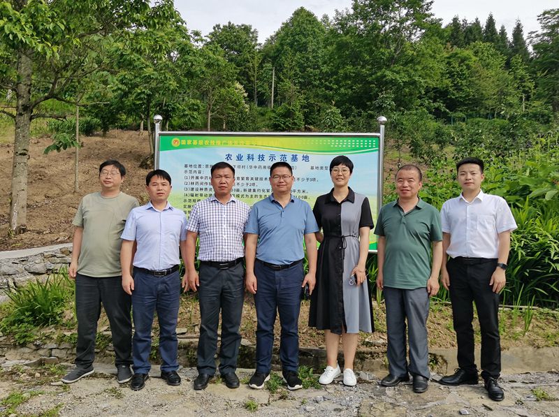 恩施州农业农村局副局长汪凤勇一行到华中药用植物园调研中药材产业tp（6.14）.docx_副本.jpg