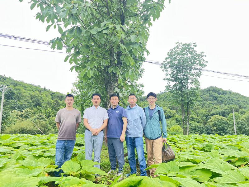 1d5369cf1c052b401d317a6517bb294_副本.jpg