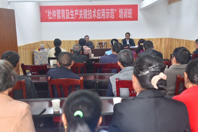 95abccdfedb98733eac868165a74dec_副本.jpg