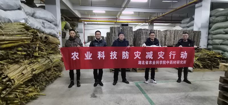 7649709baa239c0cc79aa08ed007901_副本.jpg