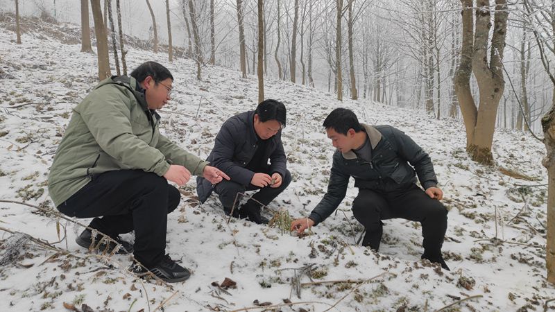 168ad3675c28397bbcddb0bf20ffe33_副本.jpg