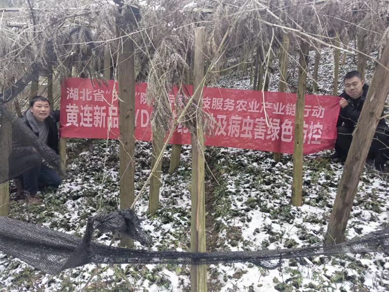6a3407c960e3ec1b3cf7467e02dd1f4_副本.jpg