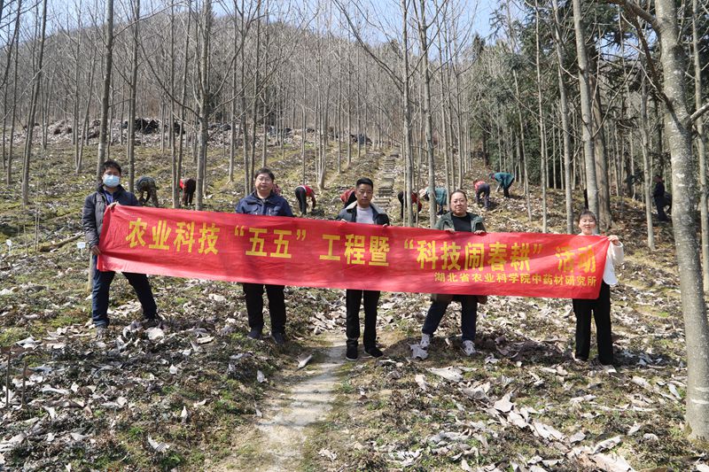 96df7f6bb896f29abc9e5fe03f43002_副本.jpg