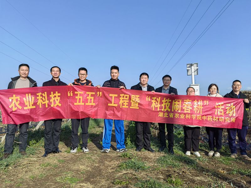 b238e2284ca27db9f5c1a243b0d017a_副本.jpg