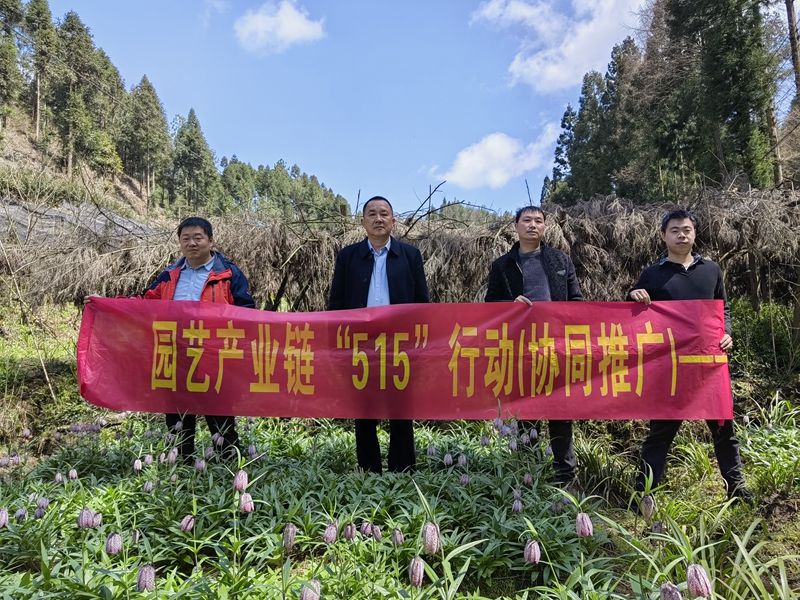 a8bc3ab1f51d6e7c913b364c6cb5c59_副本.jpg